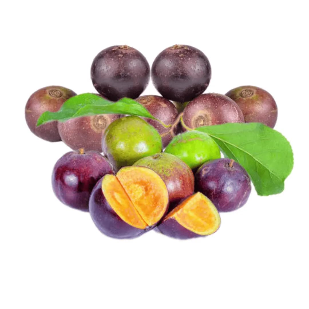 Coffee Plum (Tipa Fhol/Lukluki) 