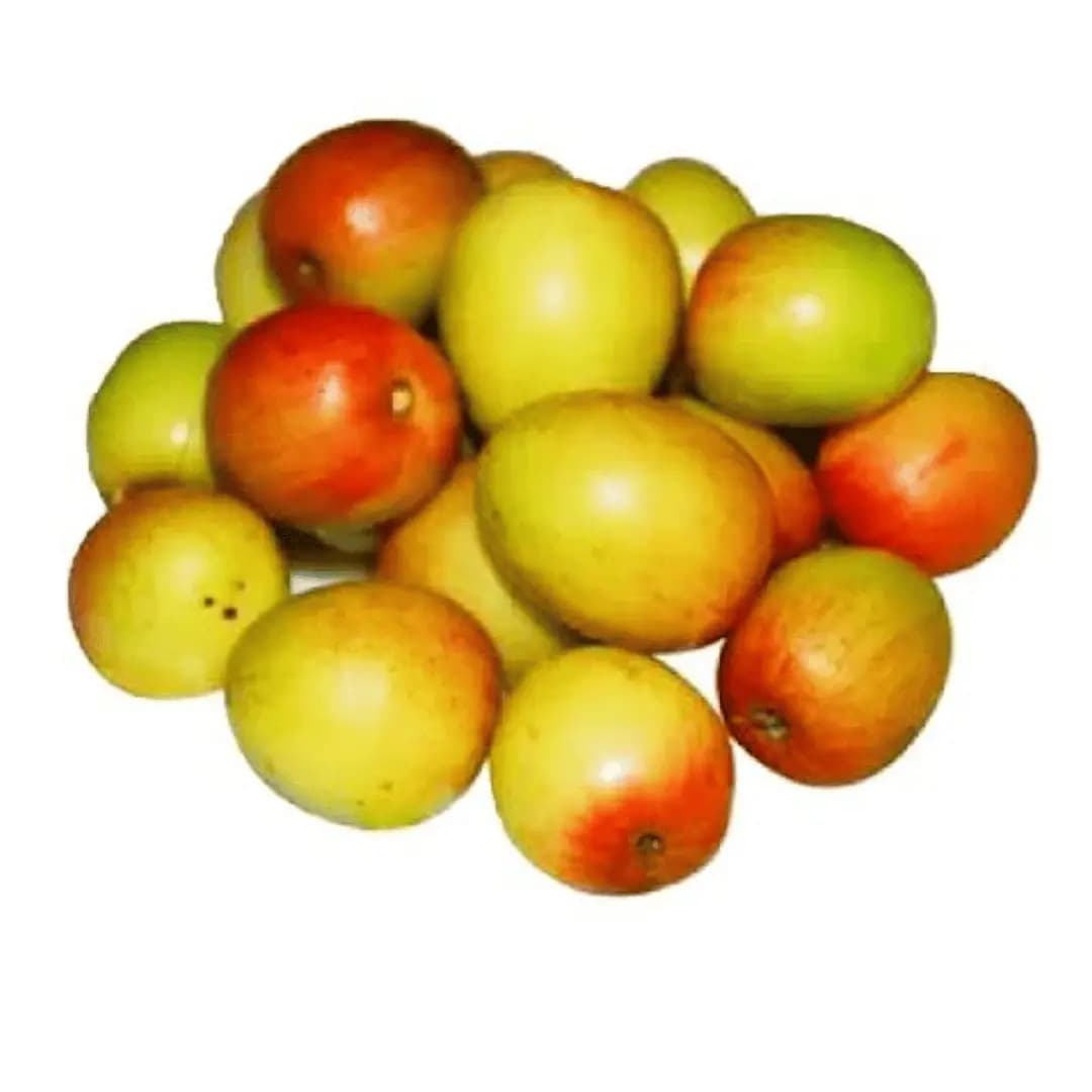 Jujube (Apple Sundori Boroi)