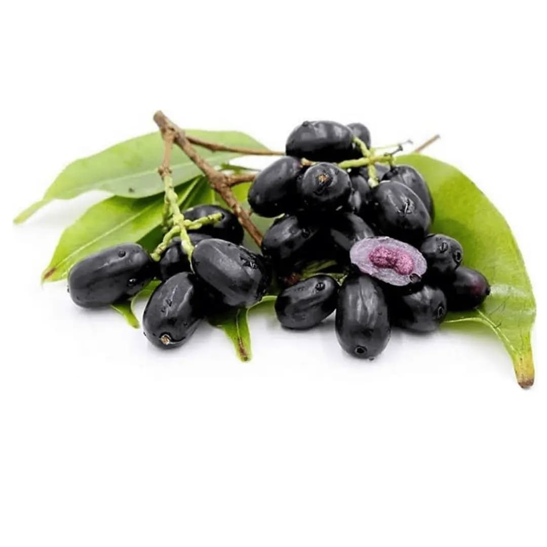 Jambul (Black Jaam/Jamun) 